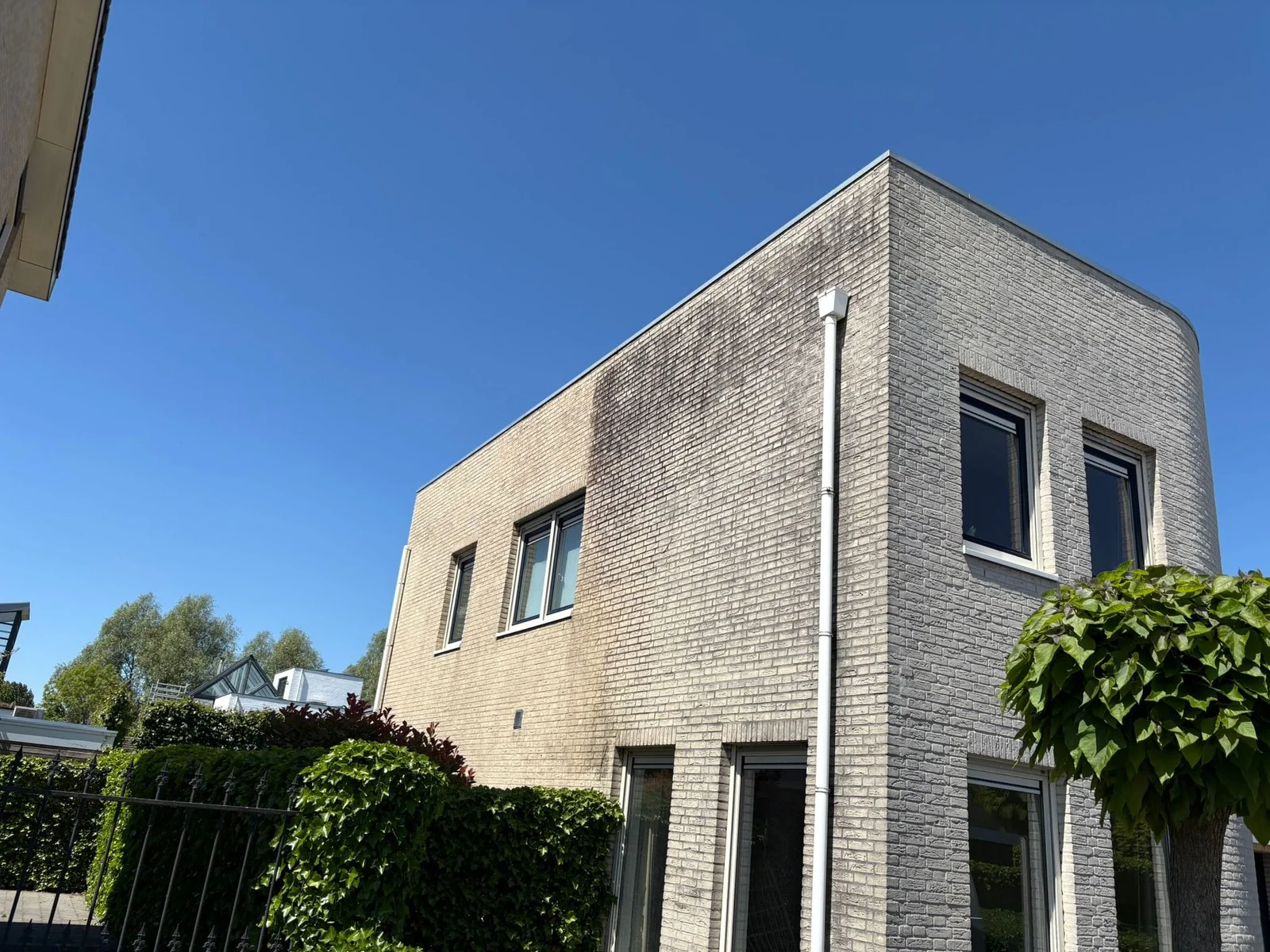 Van nul naar dominante speler in Brabant