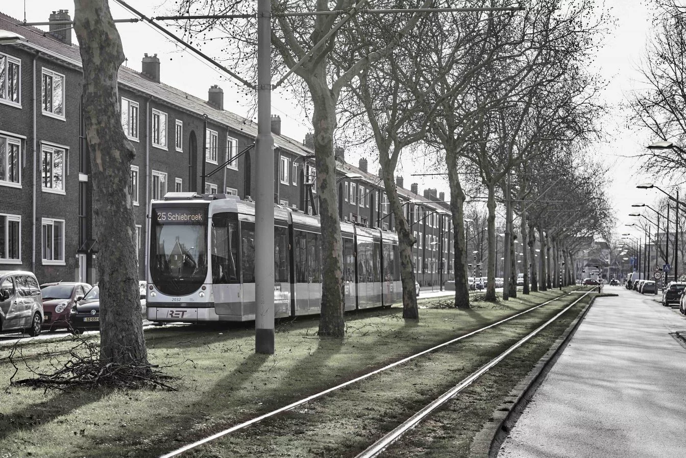 Domineren op wijkniveau in Rotterdam